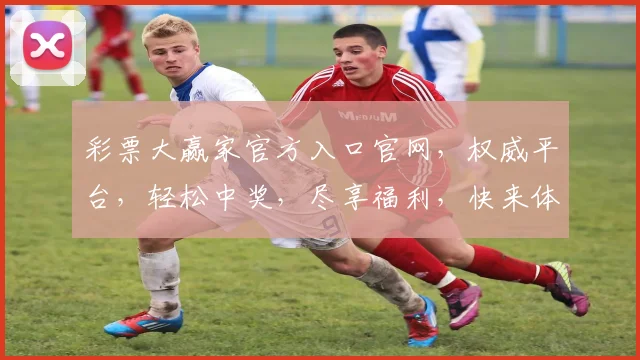 彩票大赢家官方入口官网，权威平台，轻松中奖，尽享福利，快来体验