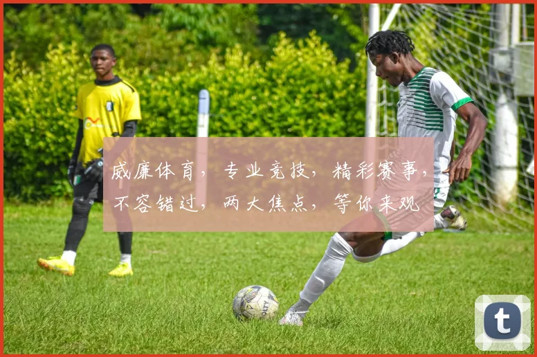 威廉体育，专业竞技，精彩赛事，不容错过，两大焦点，等你来观